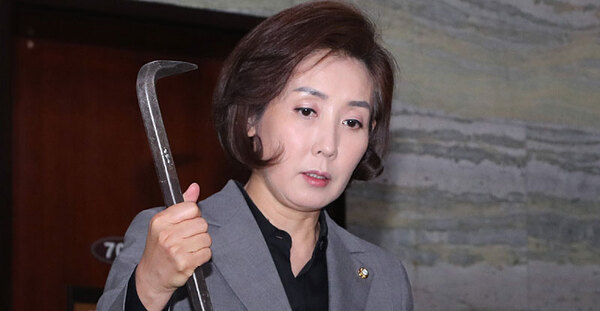 나경원 빠루 국회의원 국민의힘 정치 정치짤