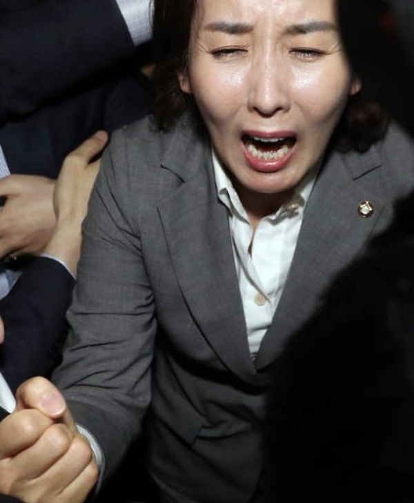 나경원 빠루 주먹 울음 국회의원 울부짓는 정치 정치짤 
