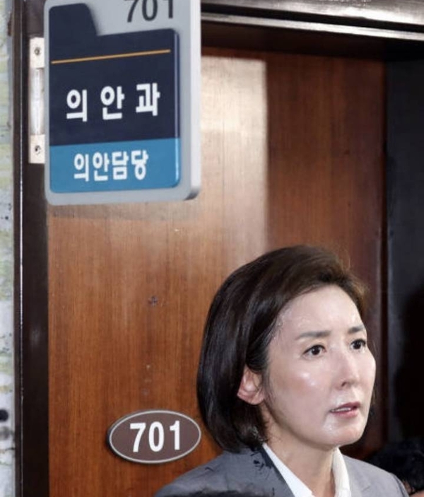 나경원 빠루 국민의힘 땀 국회의원 빠루사건 국힘 정치짤