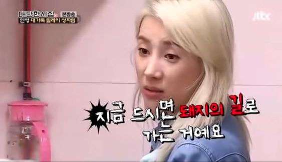 지금 드시면 돼지의 길로 가는 거예요 돼지 살 뚱땡이