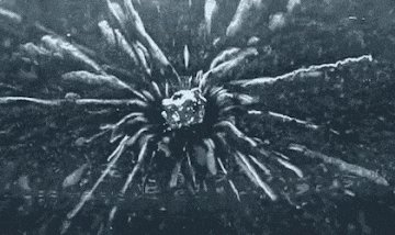 방사능 물질 실제 방사선 방출 모습 피폭 촬영 후쿠시마 오염수