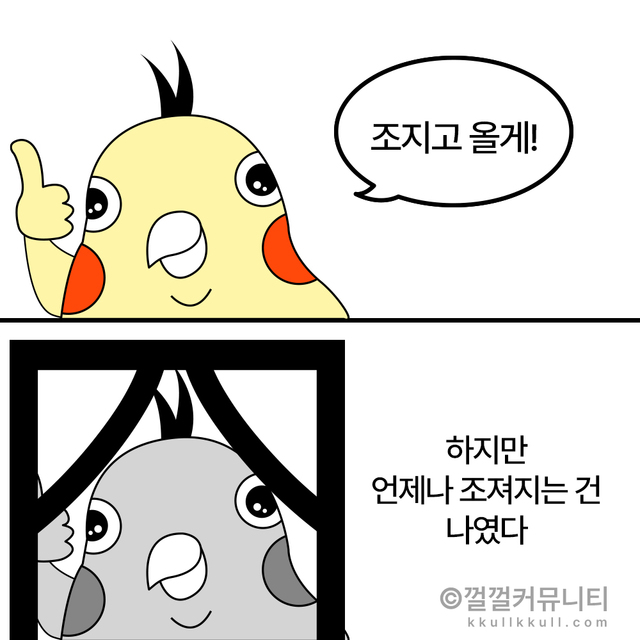 껄무새 껄껄커뮤니티 비트코인 암호화폐 코인짤 살껄팔껄 주식짤 공포 슬픔