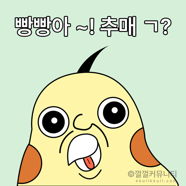 껄무새 껄껄커뮤니티 비트코인 암호화폐 코인짤 살껄팔껄 주식짤 빵빵이 멘붕