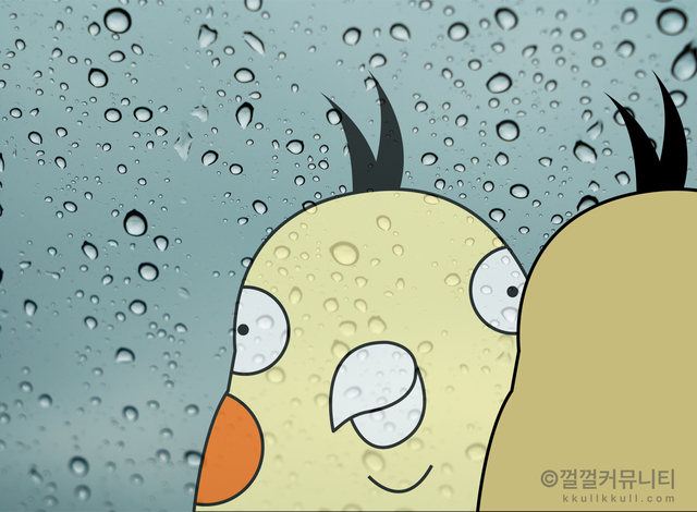 껄무새 껄껄 비트코인 껄껄커뮤니티 암호화폐 코인짤 살껄팔껄 주식짤 빗물 슬픔 눈물인지 빗물인지