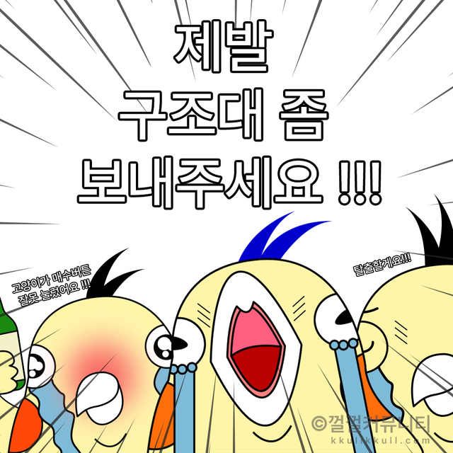 주식짤 껄무새 껄껄 비트코인 껄껄커뮤니티 암호화폐 코인짤 살껄팔껄 주식짤 탈출 손절 제발 구조대좀 보내주세요 고양이가 매수버튼 잘못 눌렀어요