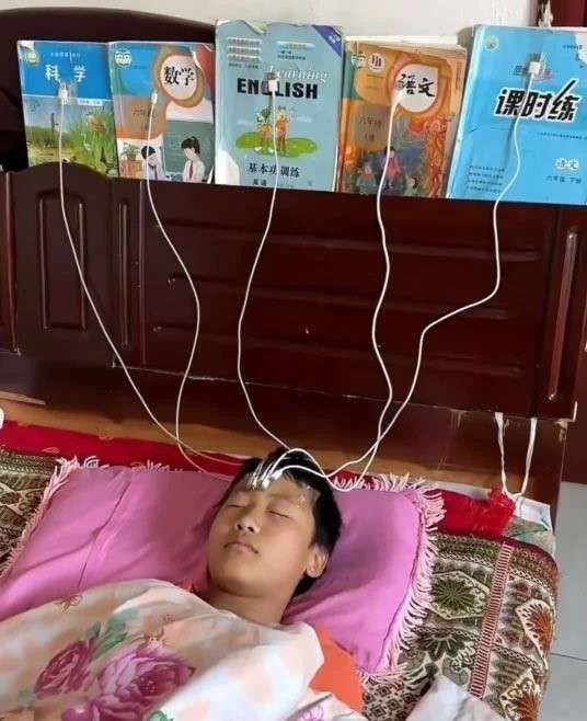 시험공부 공부 시험 방법 책 뇌 연결 유선 