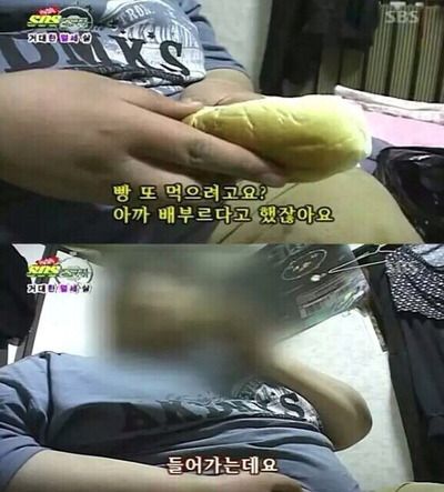 빵 먹으려고 배부르다고 했잖아요 들어가는데요 돼지 뚱뚱 살 먹방