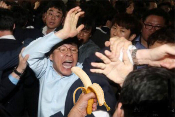 장제원 국회의원 정치짤 바나나 정치 고릴라 합성 몸싸움