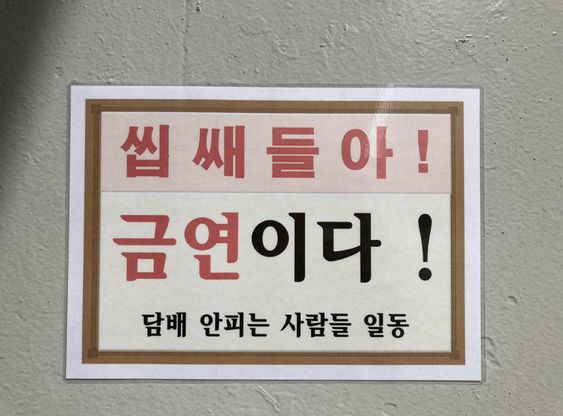 금연 흡연충 씹쌔들아 금연이다 담배 안피는 사람들 일동