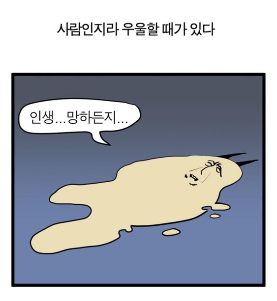 인생 망하든지 말든지 우울 귀찮아