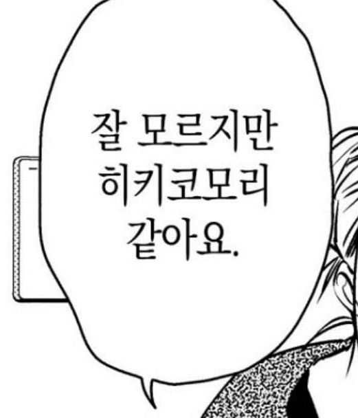 잘모르지만 히키코모리 같아요 집콕 외톨이 방콕