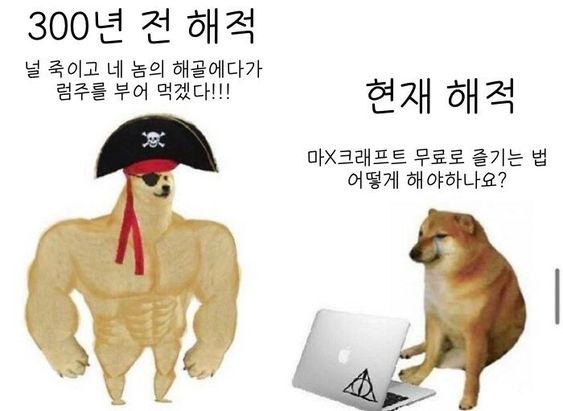 해적 근육 시바견 300년전 현재 현재해적 럼주 마인크래프트
