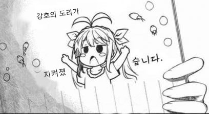 강호의도리 도리