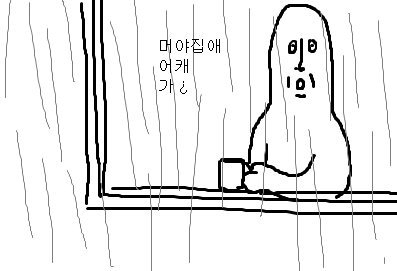 퇴근 비오는날 폭우 머야 집에 어캐가