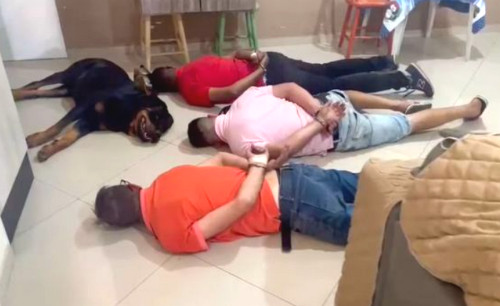 검거 체포 철컹 경비견 마약상