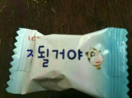 잘될거야 X될거야 ㅈ될거야 사탕