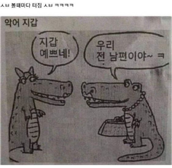 악어 가죽 지갑 예쁘네 우리 전 남편이야 전남편 악어가죽