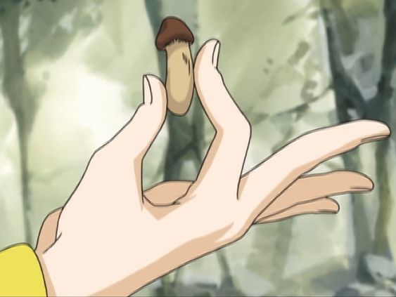 버섯 초코송이 x만해 ㅈ만해 손가락