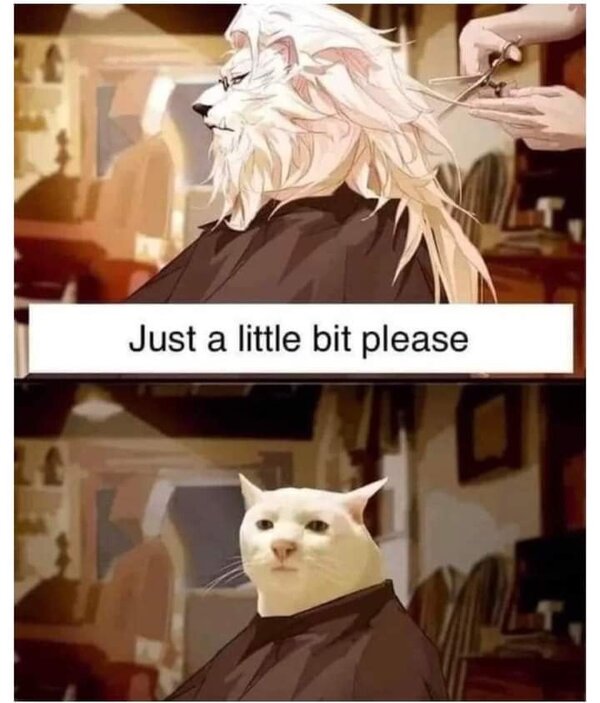 미용실 공감 조금만 잘라 주세요 결과 가위질 이발 미용