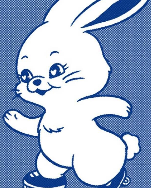 토끼 뉴진스 