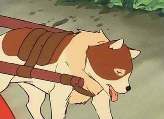 일하기 힘드네 노예 파트라슈 일해라 직장인