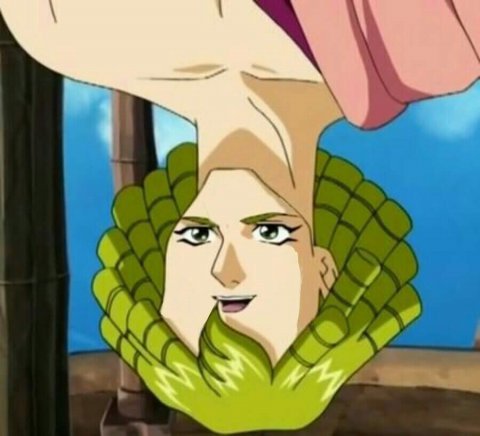 앞뒤 혼란 뭐냐 거꾸로