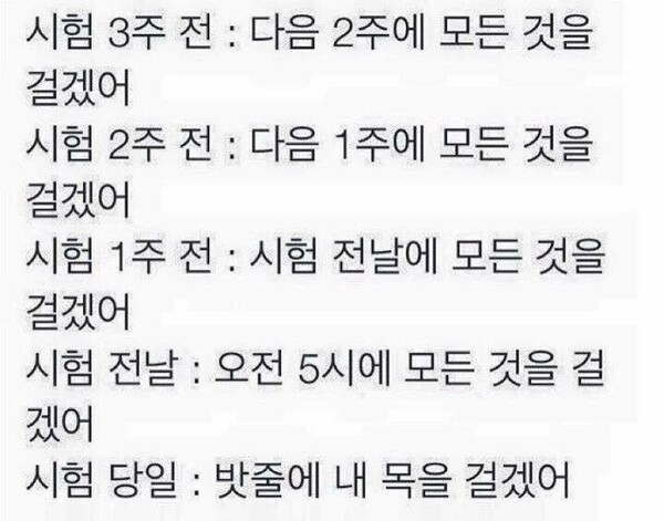 시험3주전 시험 시험기간 대학생 학점 시험 시험전날 시험당일 공부 망침 F학점 목을 걸겠어
