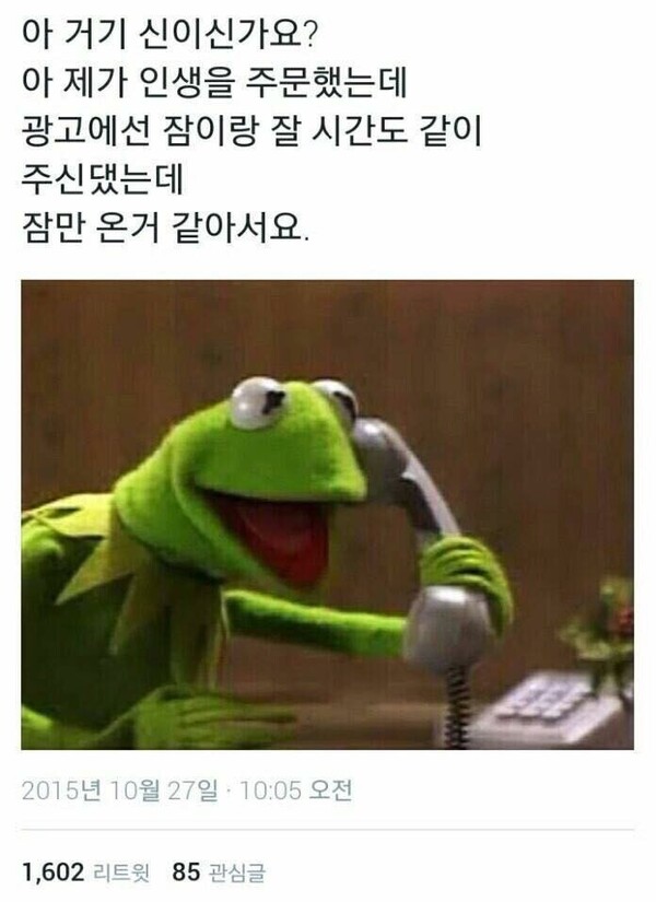 전화 개구리 신이신가요 인생을 주문 시험 대학생 학점 레포트 잠이랑 잘시간 잠만