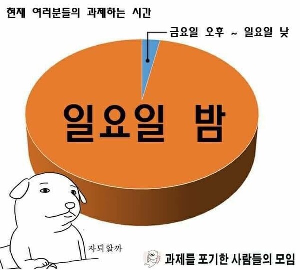 일요일밤 대학생 레포트 공부 과제포기 자퇴할까 시간표 계획표