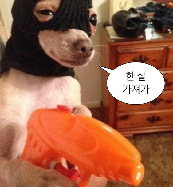 한살 가져가 새해 새해짤 새해인사 나이 신년 인사 1살