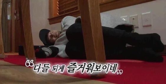 다들 되게 즐거워보이네 쓸쓸 솔로 혼자 쓸쓸함