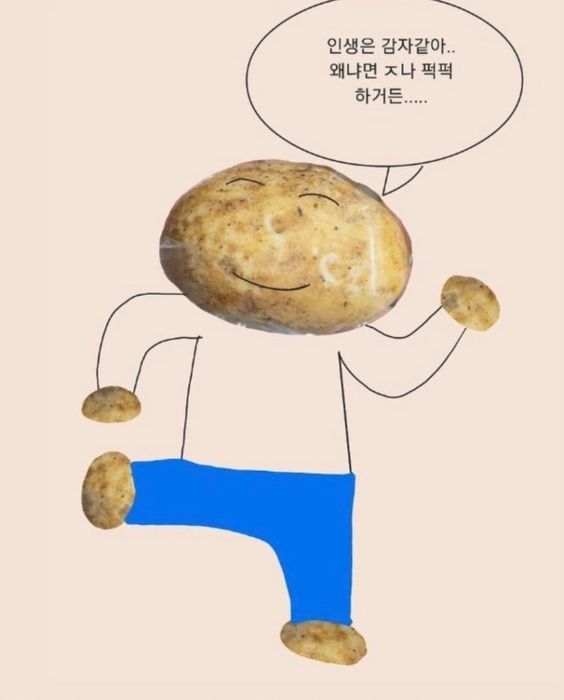 인생은 감자같아 왜냐면 존나 퍽퍽 하거든 인생 감자