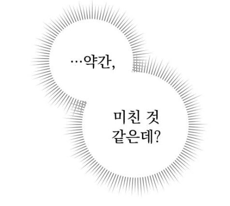 약간 미친것 같은데 미친 살짝 미쳤네