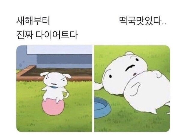 새해 다짐 계획 다이어트 떡국맛있다 작심삼일 3일 작심 흰둥이 짱구 새해계획 덕담