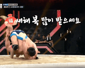 새해 인사 새해짤 씨름 움짤 세배 세배짤 큰절