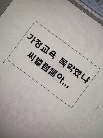가정교육 독학했냐 씨밸럼들어 싸가지 빡침 화남 시벨롬 교육 독학