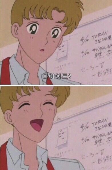 다이어트 비웃음 돼지 뚱땡이 니가 살을빼