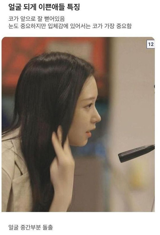 미인 예쁜 여자 특징 이쁜애 얼굴 코가 앞으로 잘 뻗어있음 입체감 중간부분 돌출