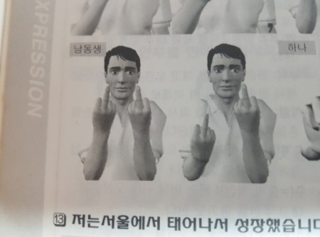 수화 남동생 형 퍼큐 박규 손가락 욕 가운데손가락