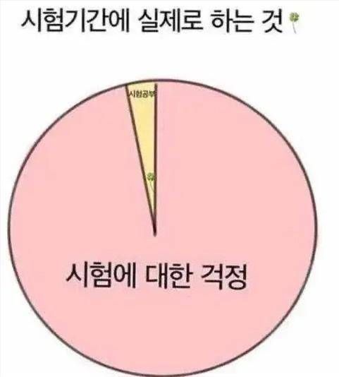 시험 학생 시험공부 시험에 대한 걱정 시험공부 시험기간에 실제로 하는것