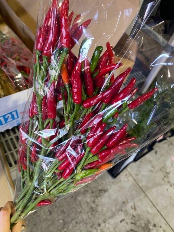 고백 여자친구 매운 고추 꽃다발 고추다발 선물 여자친구 생일 선물