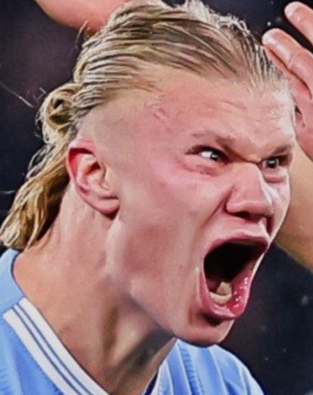 홀란드 절규 빡침 표정 얼굴 축구 으아 항의 열받아