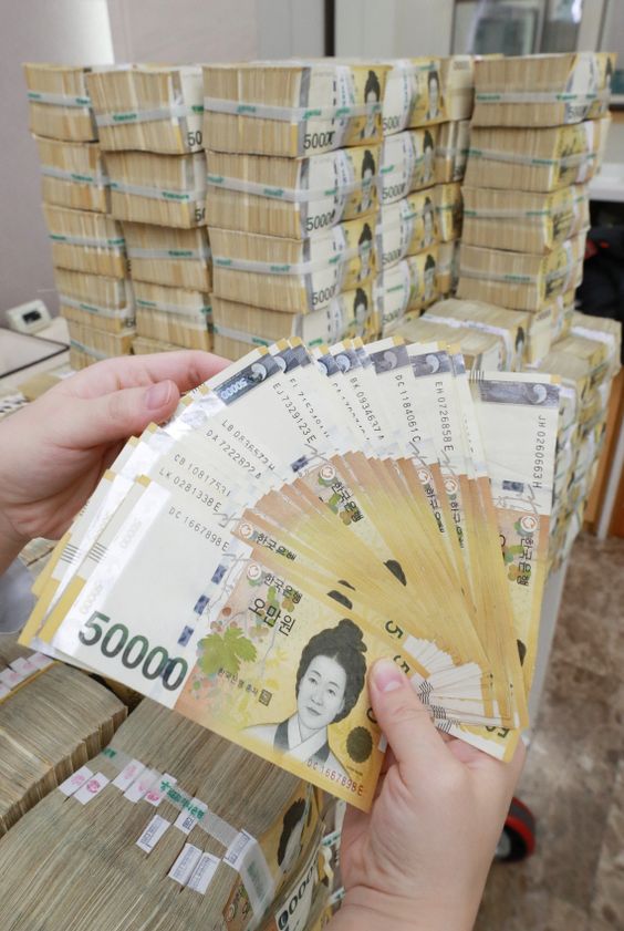 오만원권 5만원  한국돈 돈 머니 지폐 5만원권 돈다발