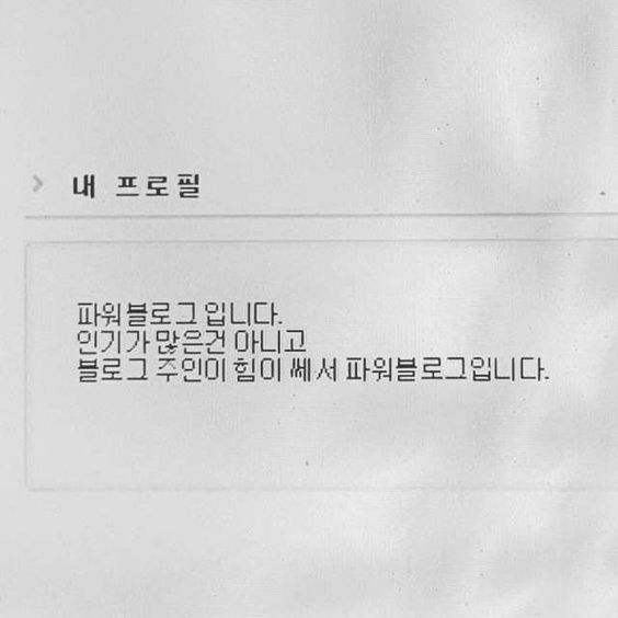 프로필 파워블로그 블로그 인기가 많은건 아니고 블로그 주인이 힘이 쎄서