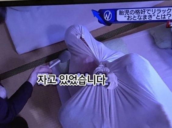 잔다 죽은거아님 자고 있었습니다