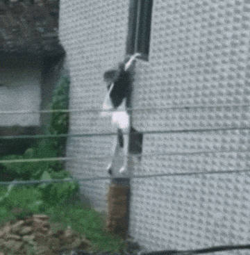 엉덩방아 여자 탈출 찍힘 레전드 고통