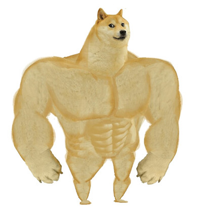 시바견 근육 근육시바견 밈 짤방 헬스 운동 복근