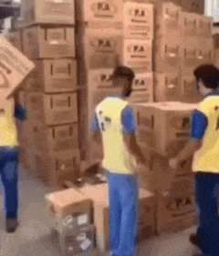 회사 신입 특징 박스 초보 일하는 모습 직장인