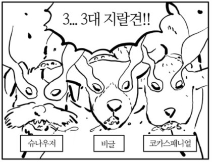 지랄견 개판 슈나우저 비글 코카스패니얼 3대지랄견 3대