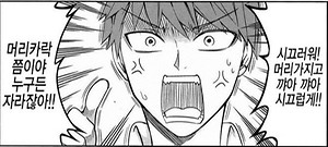 머리카락 쯤이야 누구든 자라잖아 시끄러워 머리가지고 영구차단 대머리 탈모갤 탈모